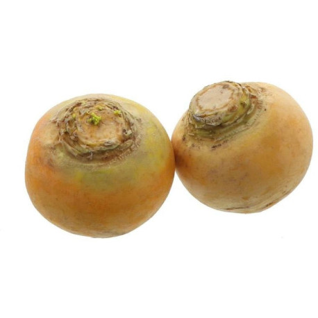 NAVET BOULE D`OR GROSBUSCH PREPACK 10X2PCS